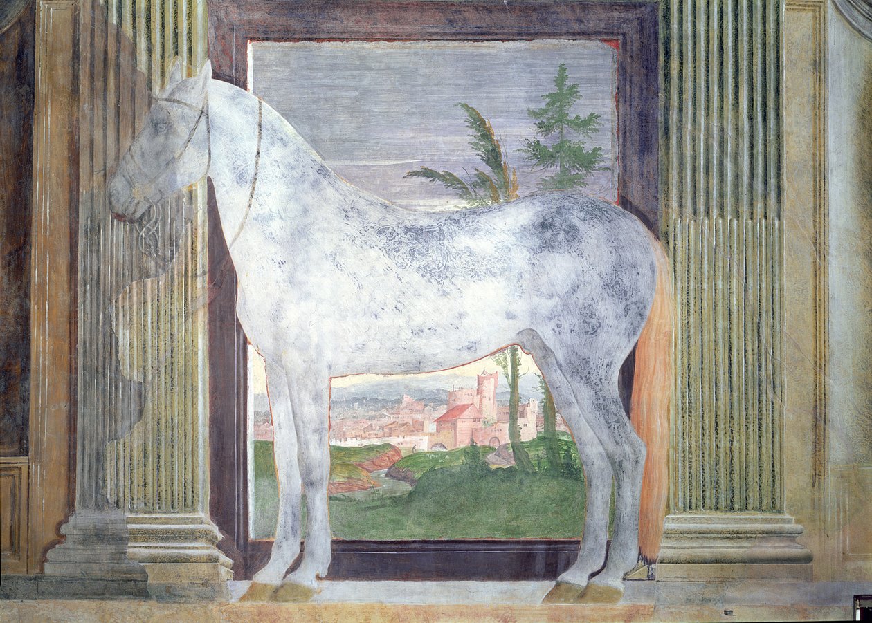 Sala dei Cavalli, detal przedstawiający portret siwego konia ze stajni Ludovica Gonzagi III z Mantui, 1528 autorstwa Giulio Romano