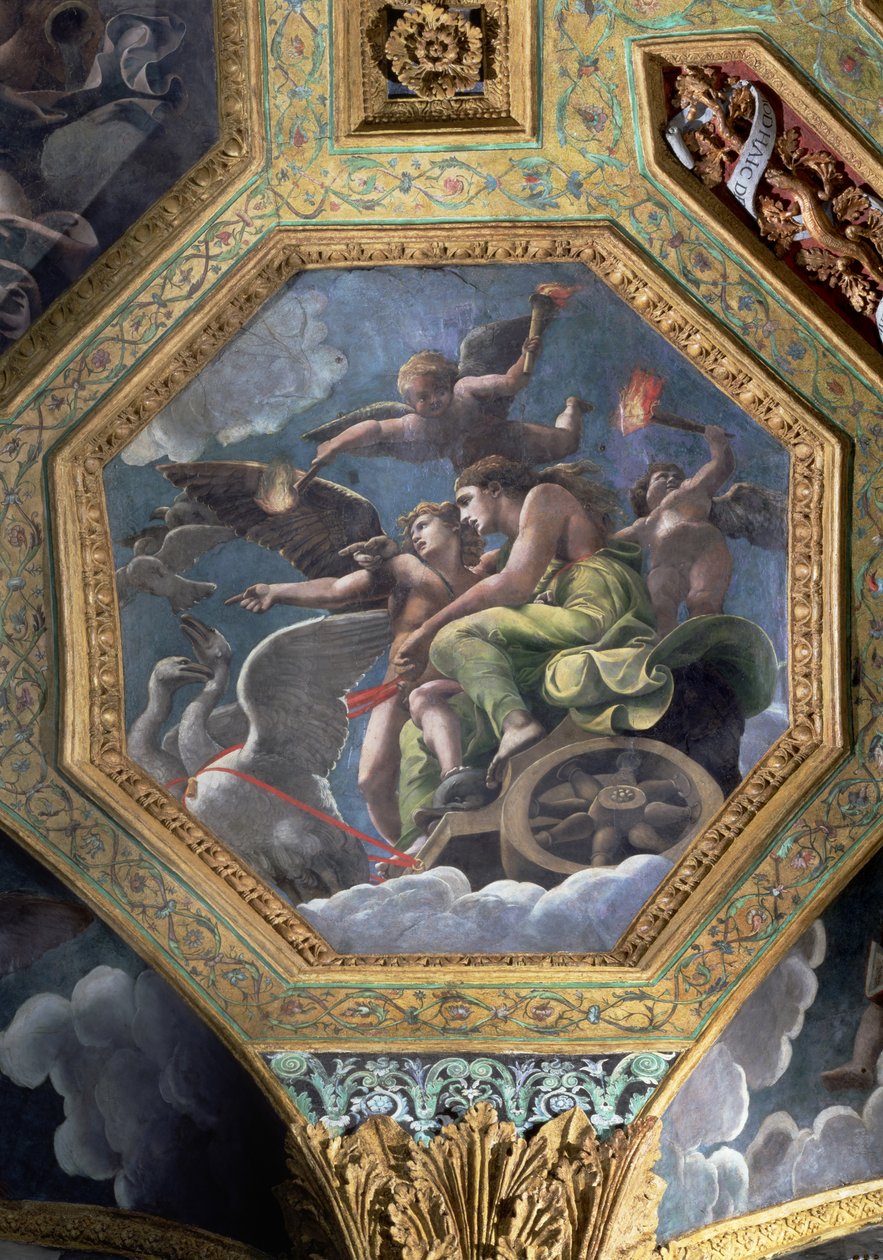Wenus i Kupidyn w rydwanie ciągniętym przez łabędzie, keson sufitowy z Sala di Amore e Psiche, 1528 (olej na stiuku) autorstwa Giulio Romano