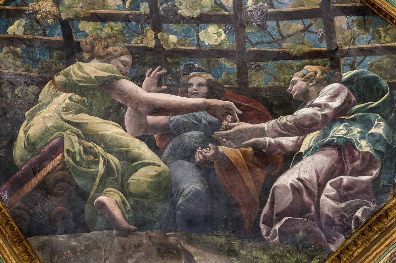 Detal sklepienia z młodymi kobietami i winogronami, Komnata Kupidyna i Psyche (Sala di Amore e Psiche) autorstwa Giulio (and workshop) Romano