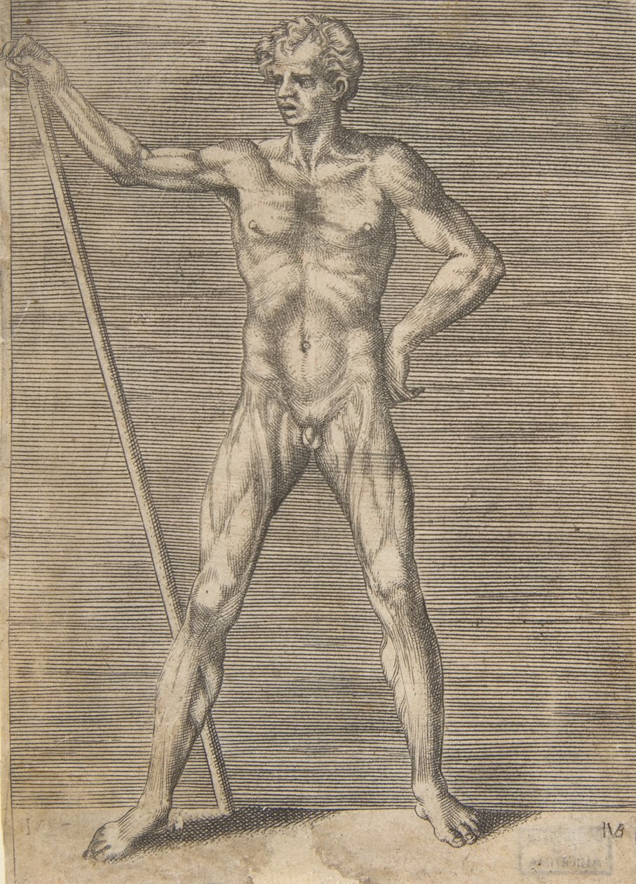 Obdarty ze skóry mężczyzna widziany z przodu, trzymający kij, ca. 1531-76. autorstwa Giulio Bonasone