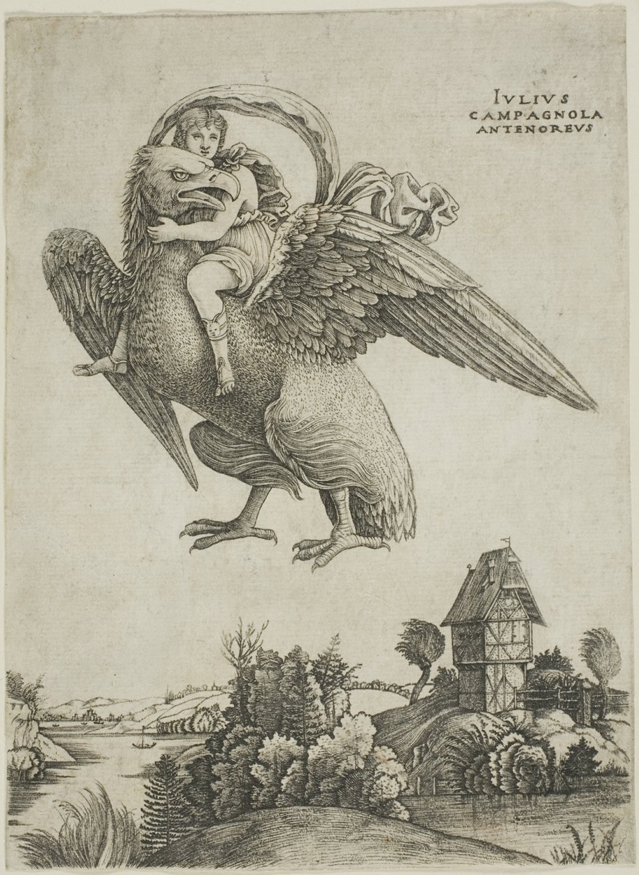 Ganimedes autorstwa Giulio Campagnola