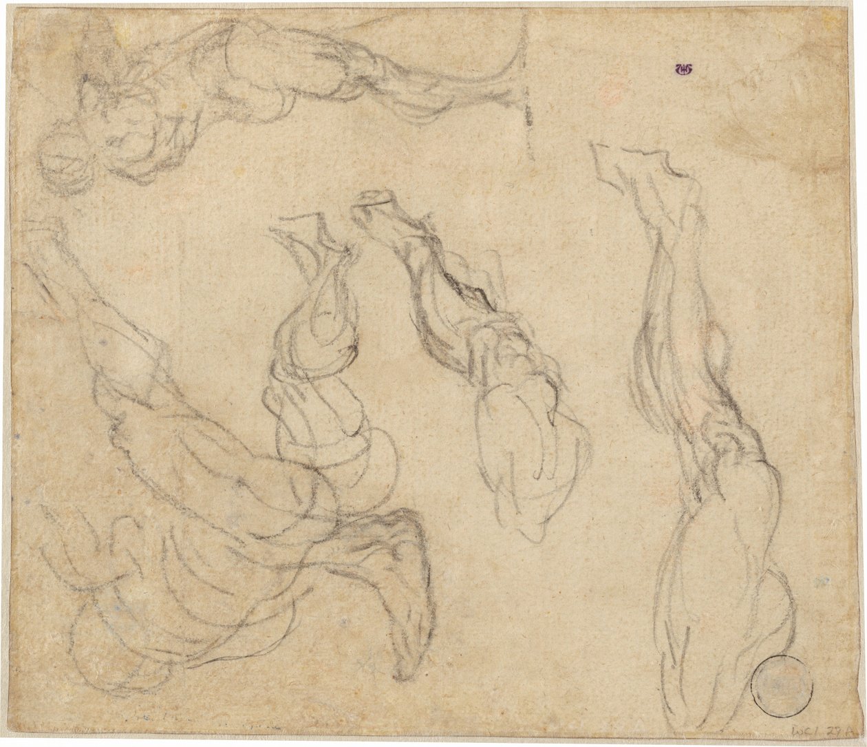 Głowa chłopca (verso) autorstwa Giulio Campagnola