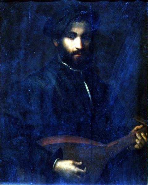 Gitarzysta (panel) autorstwa Giulio Campi