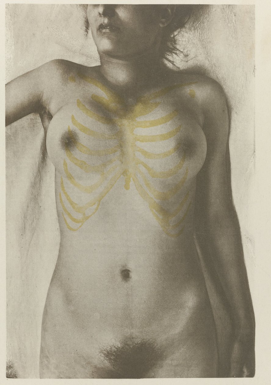 Anatomiczny foto van een vrouwelijk lijk: 