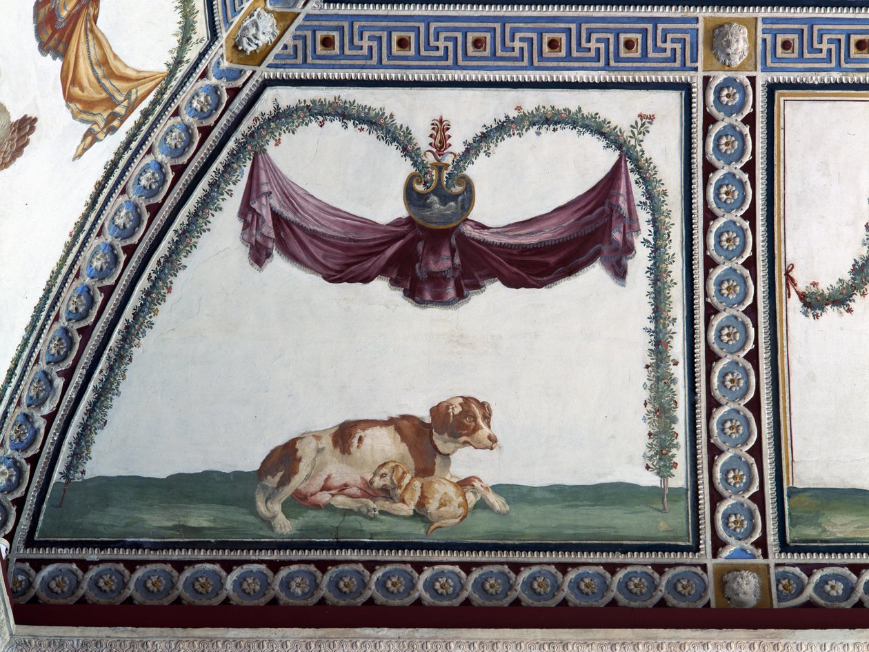 Komora Camera con Fregio di Amorini Fryz Kupidyna, detal przedstawiający psa i szczeniaka, fresk z lat 20. XX wieku autorstwa Giulio Romano