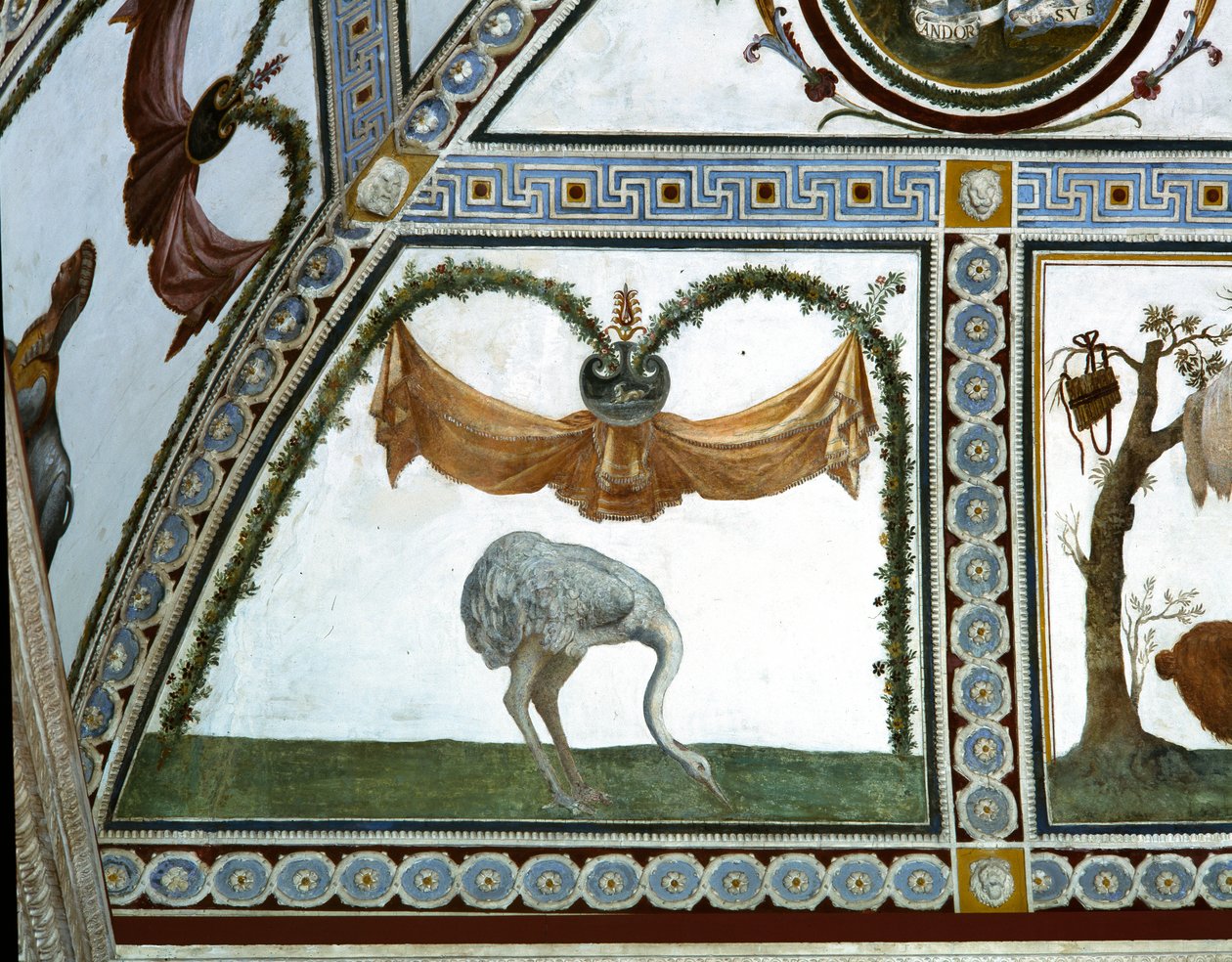 Komora Camera con Fregio di Amorini Fryz Kupidyna, detal przedstawiający strusia, fresk z lat 20. XX wieku autorstwa Giulio Romano