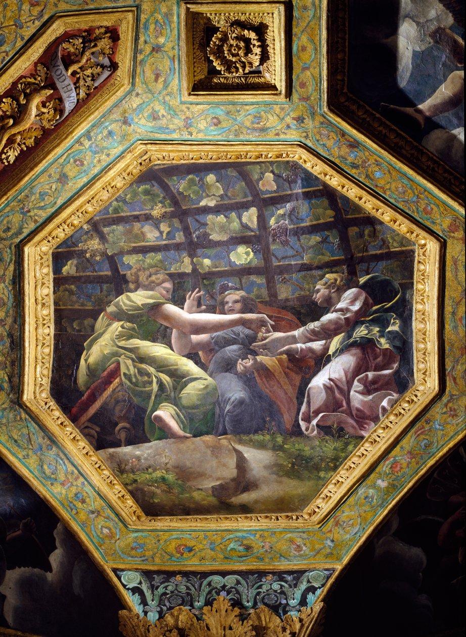 Kobiety zbierające winogrona, kaseton sufitowy z Sali Kupidyna i Psyche, 1528 (olej na stiuku) autorstwa Giulio Romano