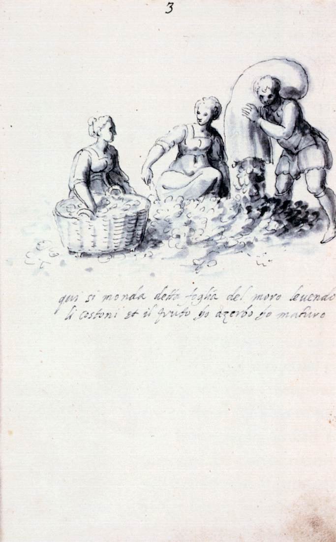 Traktat o hodowli i produkcji jedwabiu autorstwa Giuseppe Arcimboldo