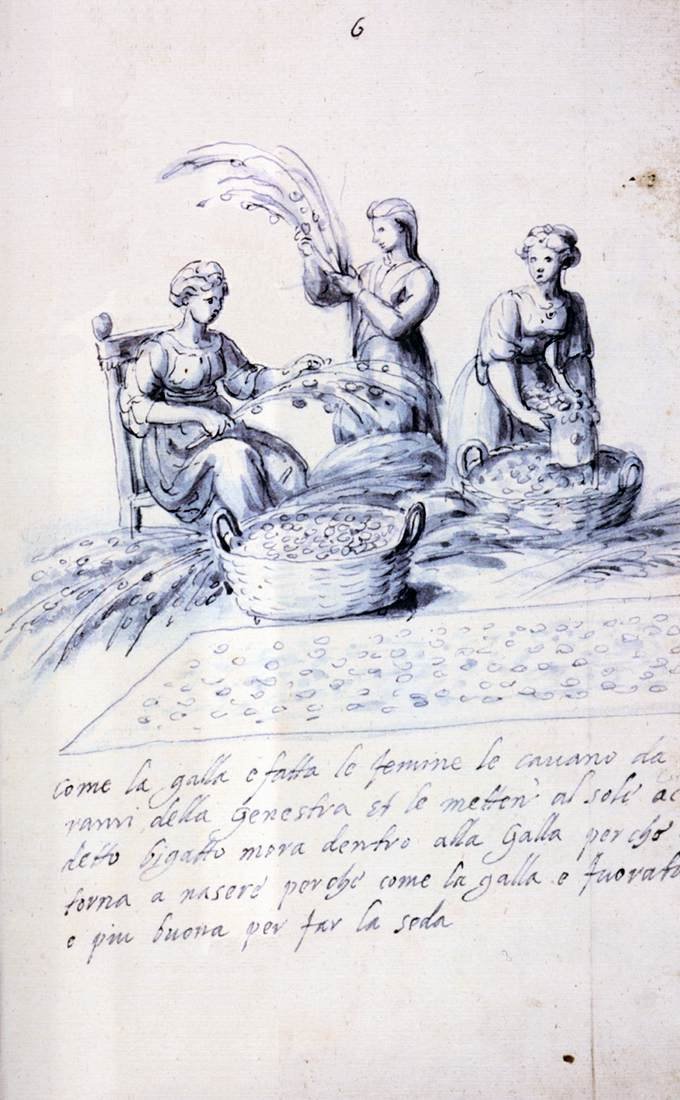 Traktat o hodowli i produkcji jedwabiu autorstwa Giuseppe Arcimboldo