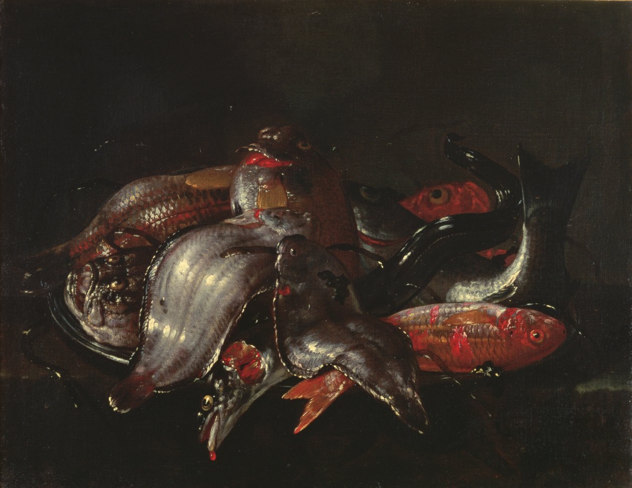 Martwa natura z rybami, ok. 1670-80 autorstwa Giuseppe Recco