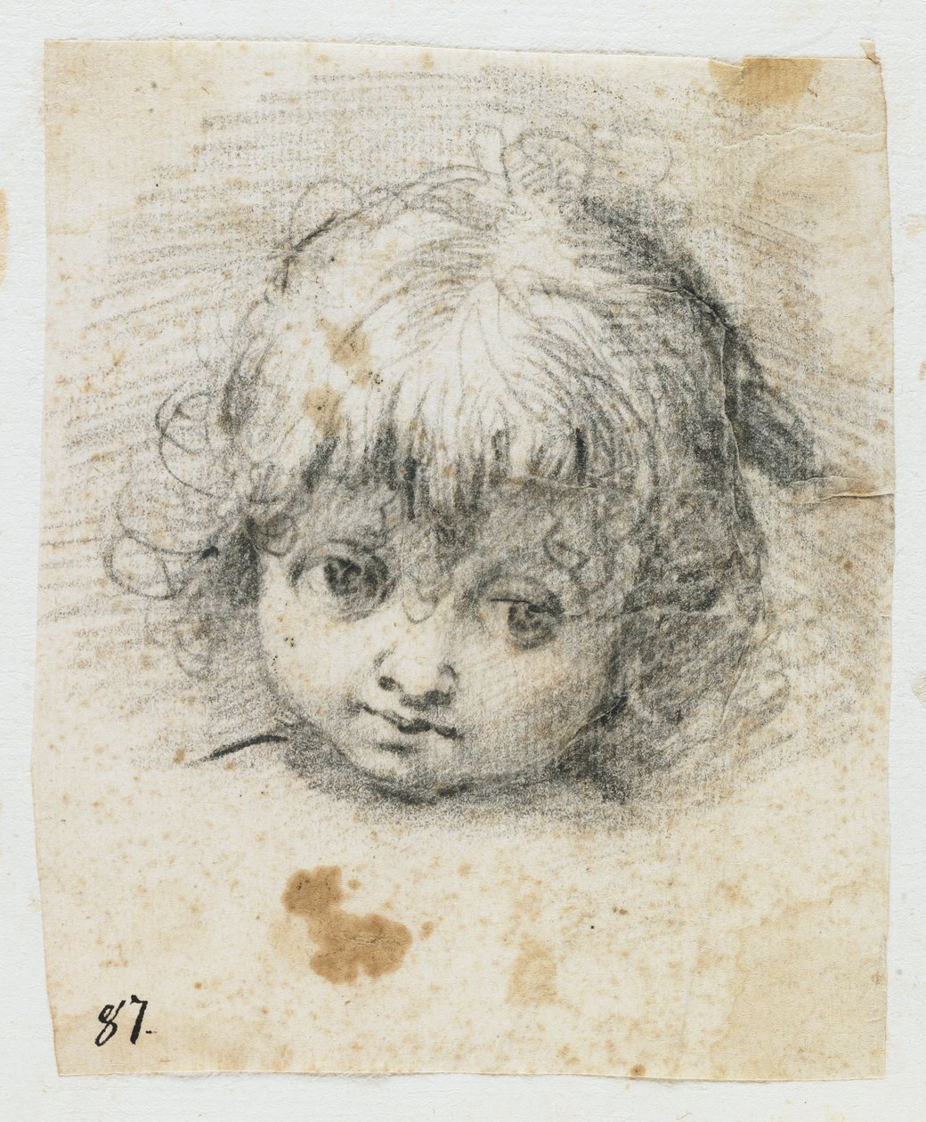Portret dziecka (czarna kreda) autorstwa Giuseppe Cesari