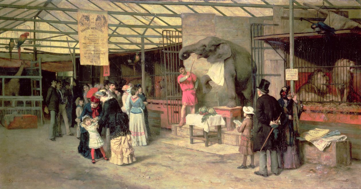 W zoo autorstwa Giuseppe Barison
