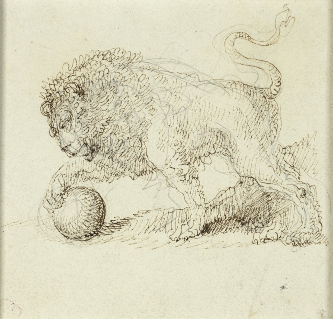 Lew z piłką autorstwa Giuseppe Bernardino Bison