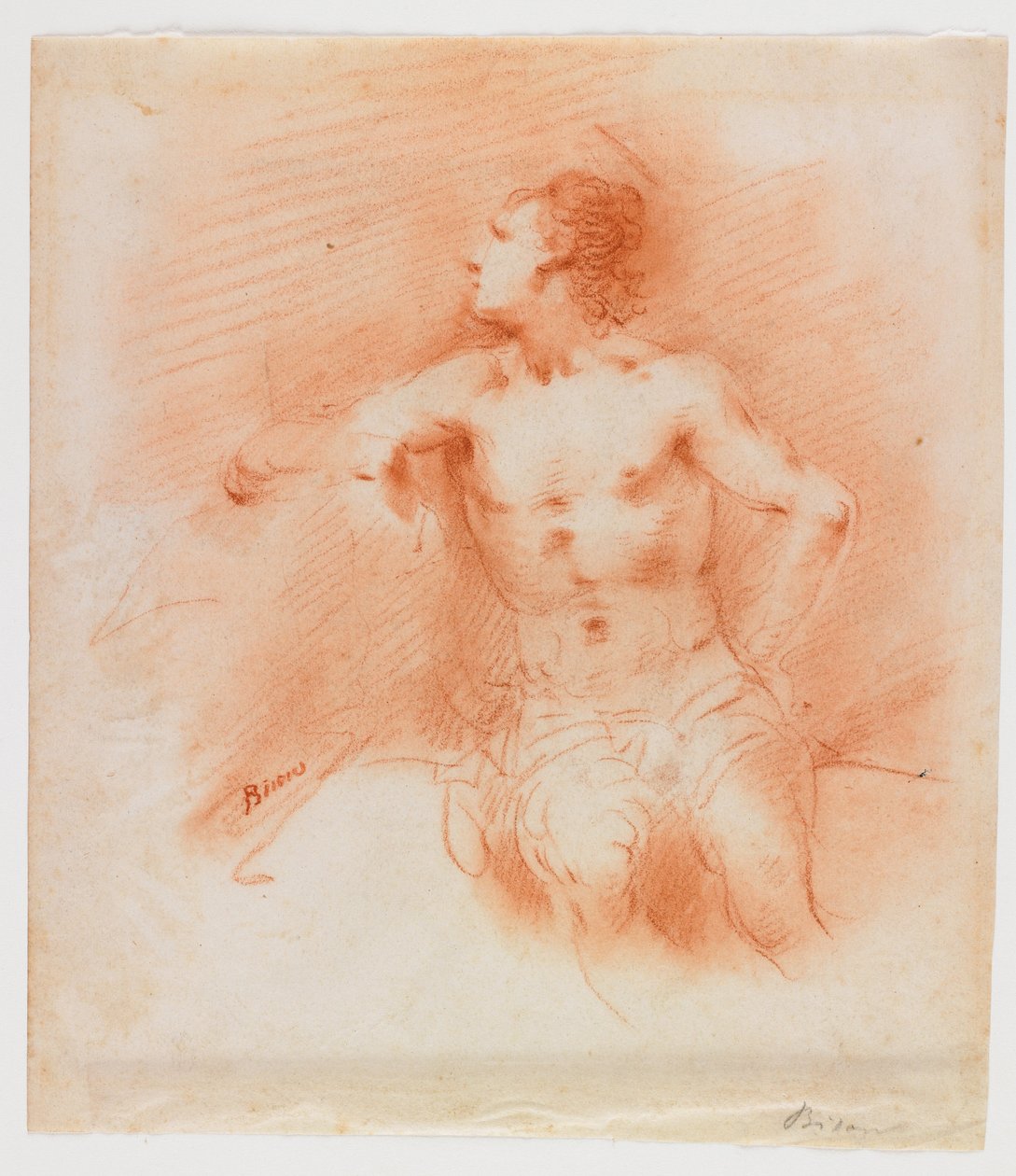 Studie eines sitzenden jungen männlichen Aktes autorstwa Giuseppe Bernardino Bison