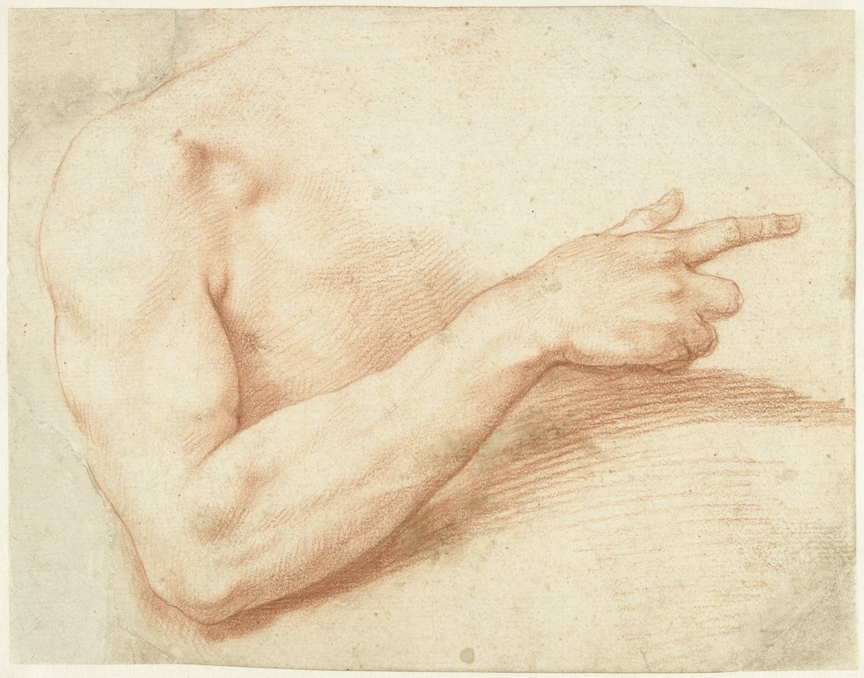 Badanie ramienia autorstwa Giuseppe Cesari
