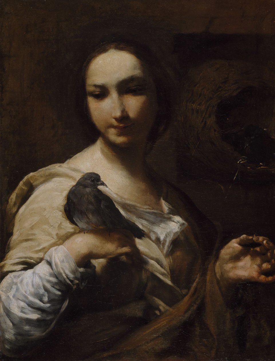 Dziewczyna trzymająca gołębia, 1721-27. autorstwa Giuseppe Maria Crespi
