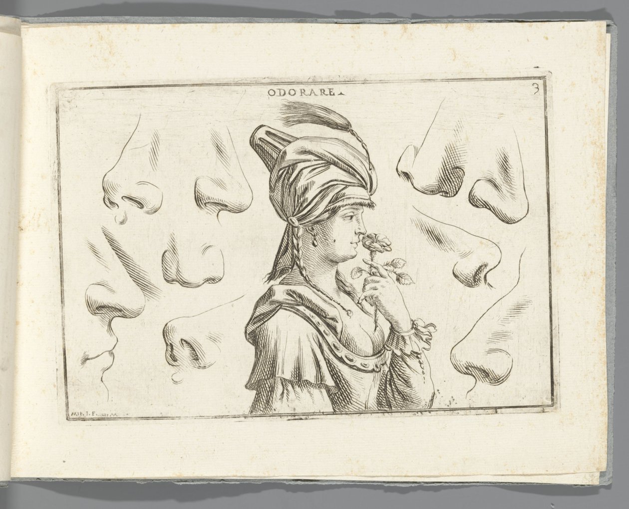 Zapach Odorare (tytuł na przedmiocie) autorstwa Giuseppe Maria Mitelli