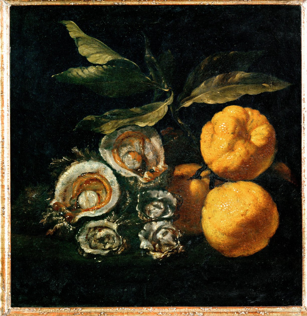 Nature Morte aux huitres et aux coings - Martwa natura z ostrygami i pigwą ... autorstwa Giuseppe Recco