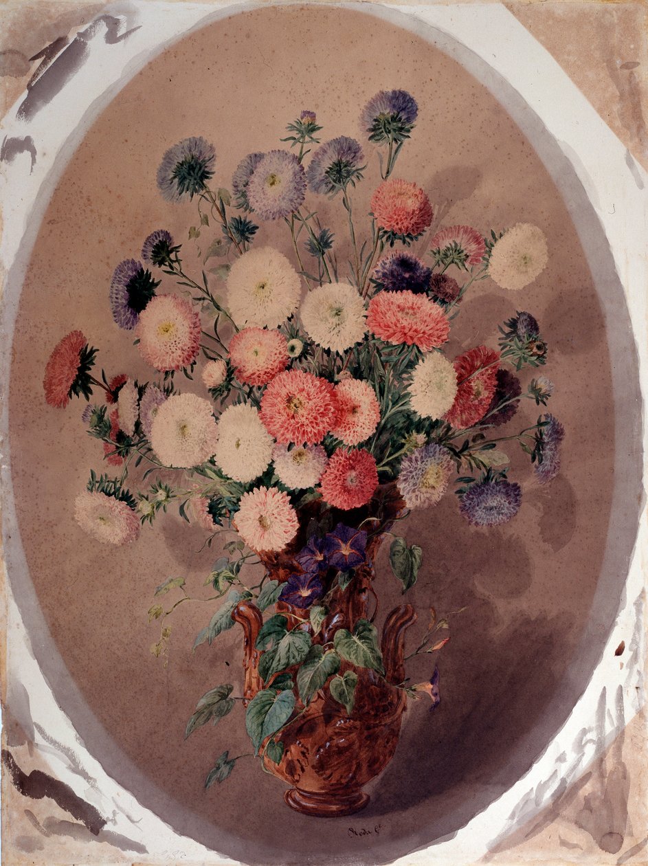 Bukiet stokrotek Akwarela Giuseppe Rody (XIX wiek) 1863 Dim 70x51 cm Geny, Galleria d