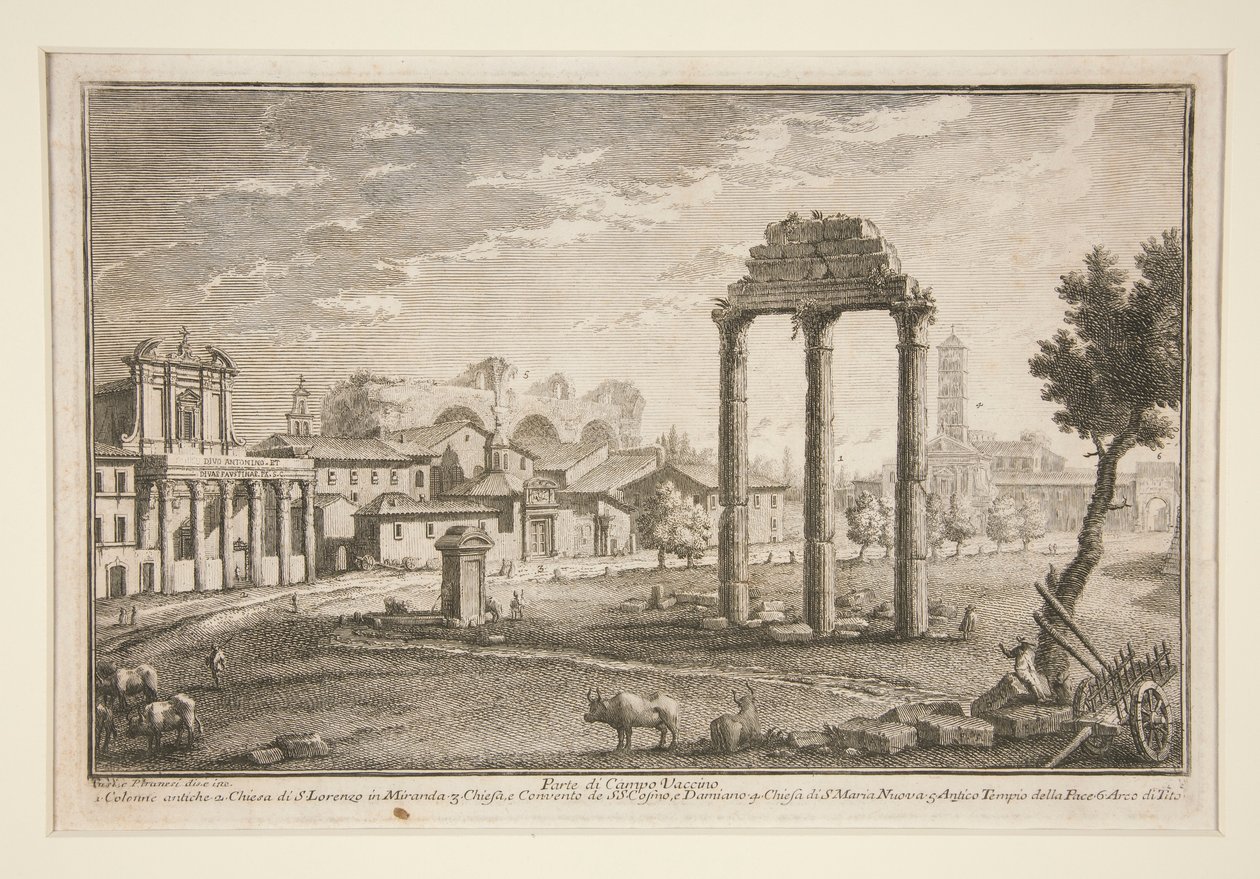 Część Campo Vaccino (Część Campo Vaccino) autorstwa Giuseppe Vasi