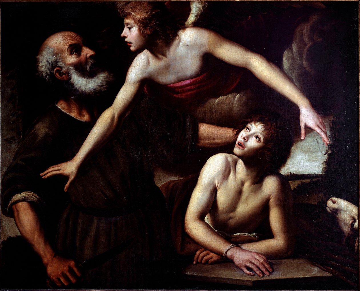 Ofiara Izaaka Anioł Zatrzymaj rękę Abrahama (ofiara Izaaka) Obraz Giuseppe Vermiglio (1585-1635) Geny z XVII wieku, Musei di Strada Nuova (ex Palazzo Bianco) autorstwa Giuseppe Vermiglio