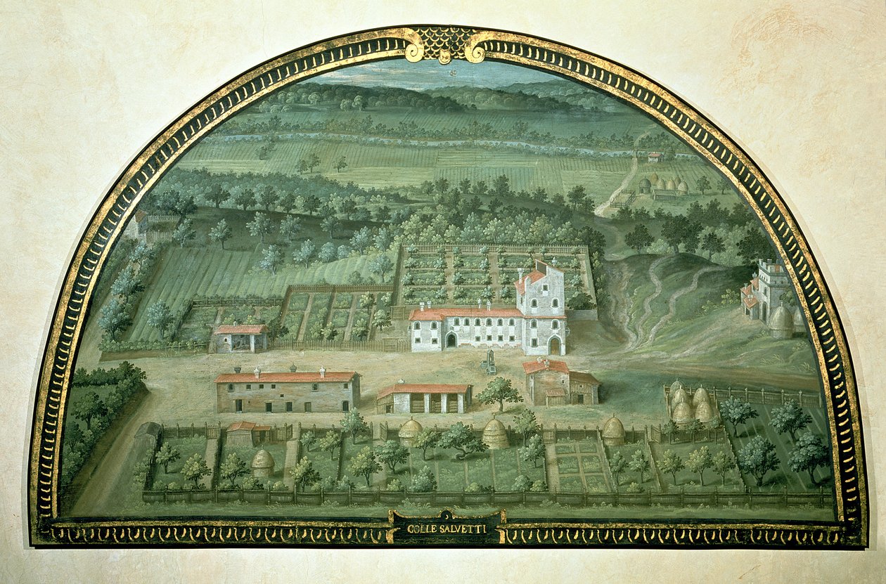 Colle Salvetti, z serii lunet przedstawiających widoki willi Medyceuszy, 1599 (tempera na panelu) autorstwa Giusto Utens