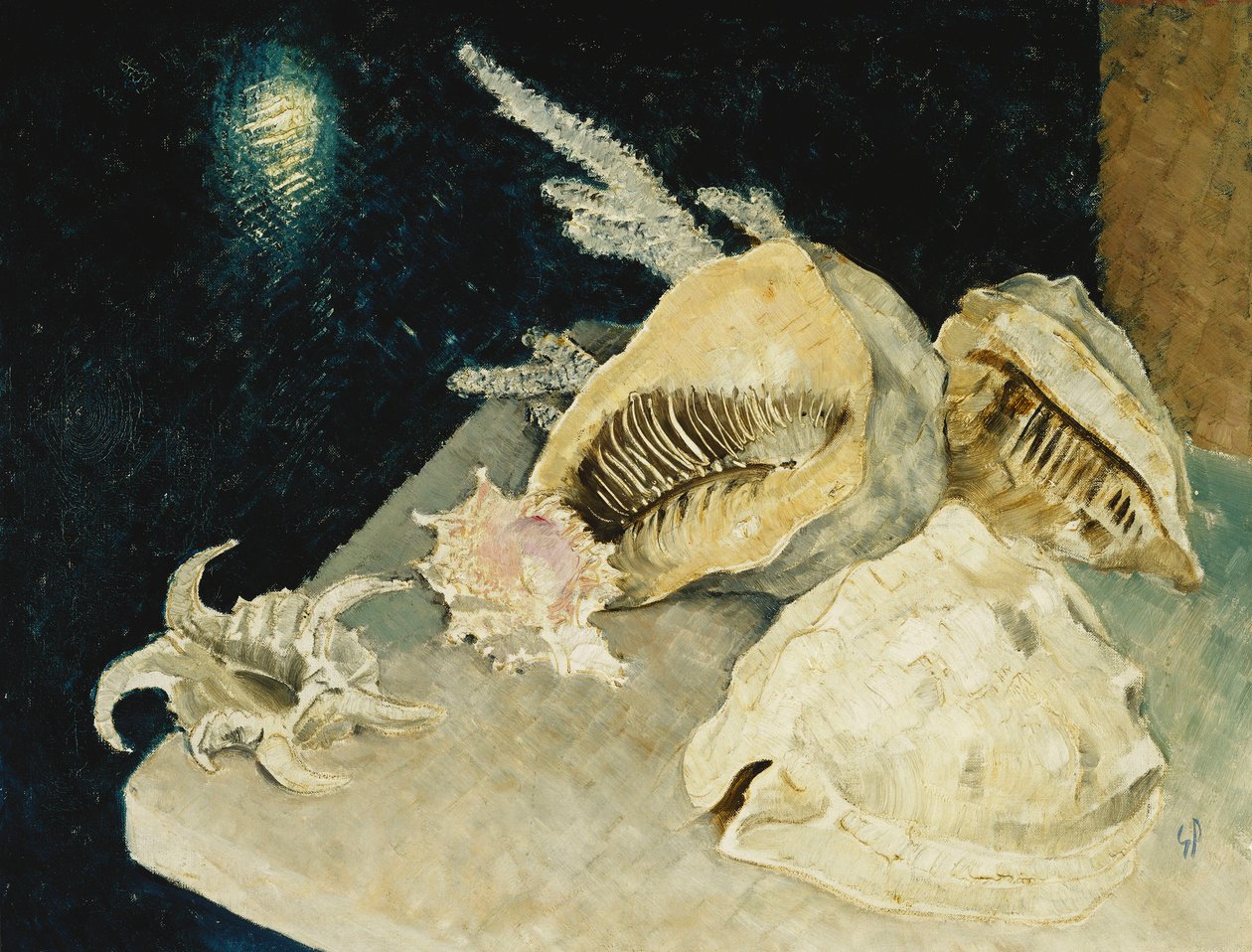 Muszle autorstwa Glyn Warren Philpot