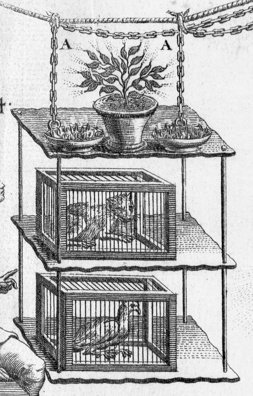 Eksperymenty z elektrycznością, płytka z Essai sur lelectricite des corps opata Jean Antoine Nollet, szczegóły zwierząt w klatkach, 1749, rycina 224419 autorstwa Gobin
