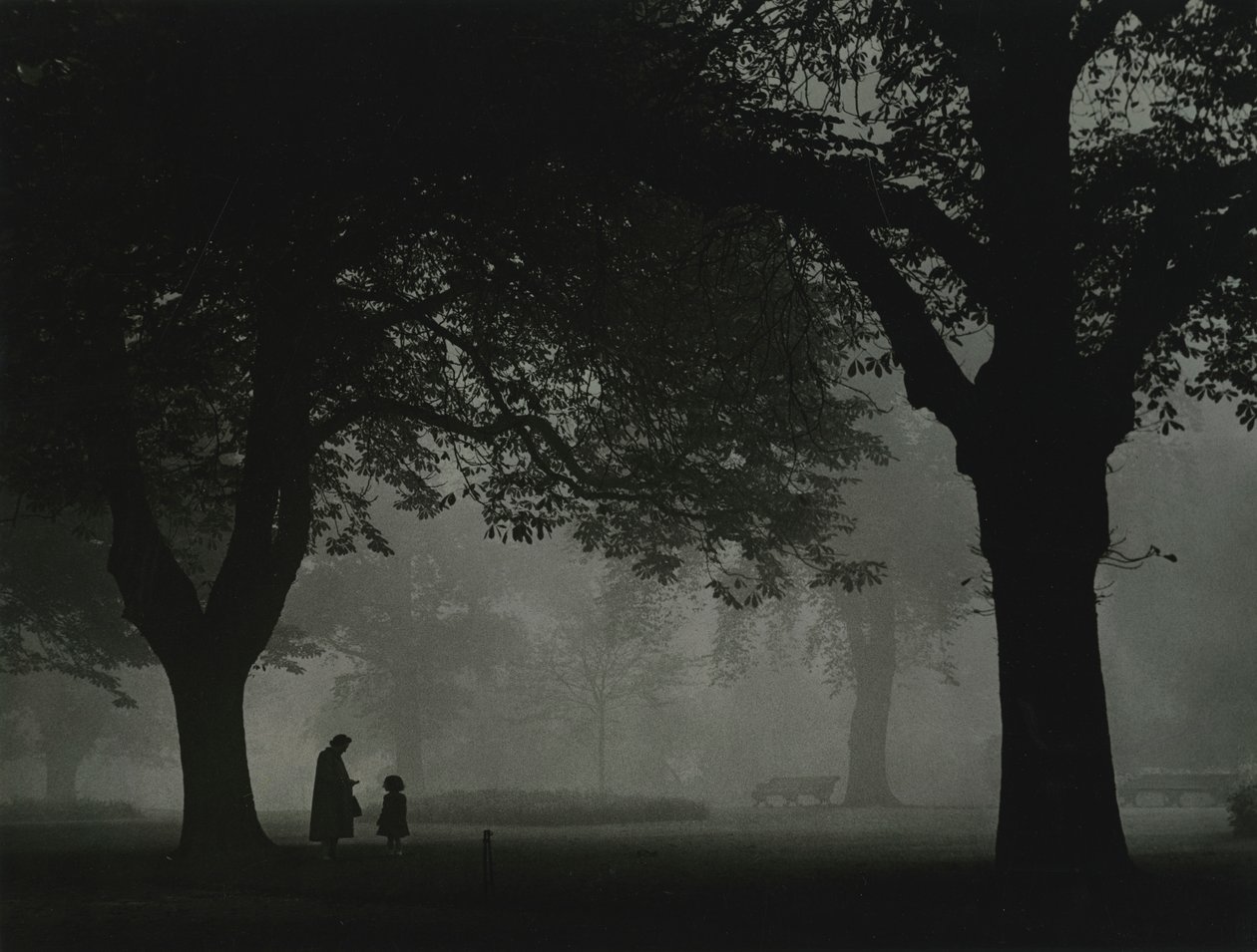 Regents Park, Londyn, lata 1950 autorstwa Godfrey Macdominic