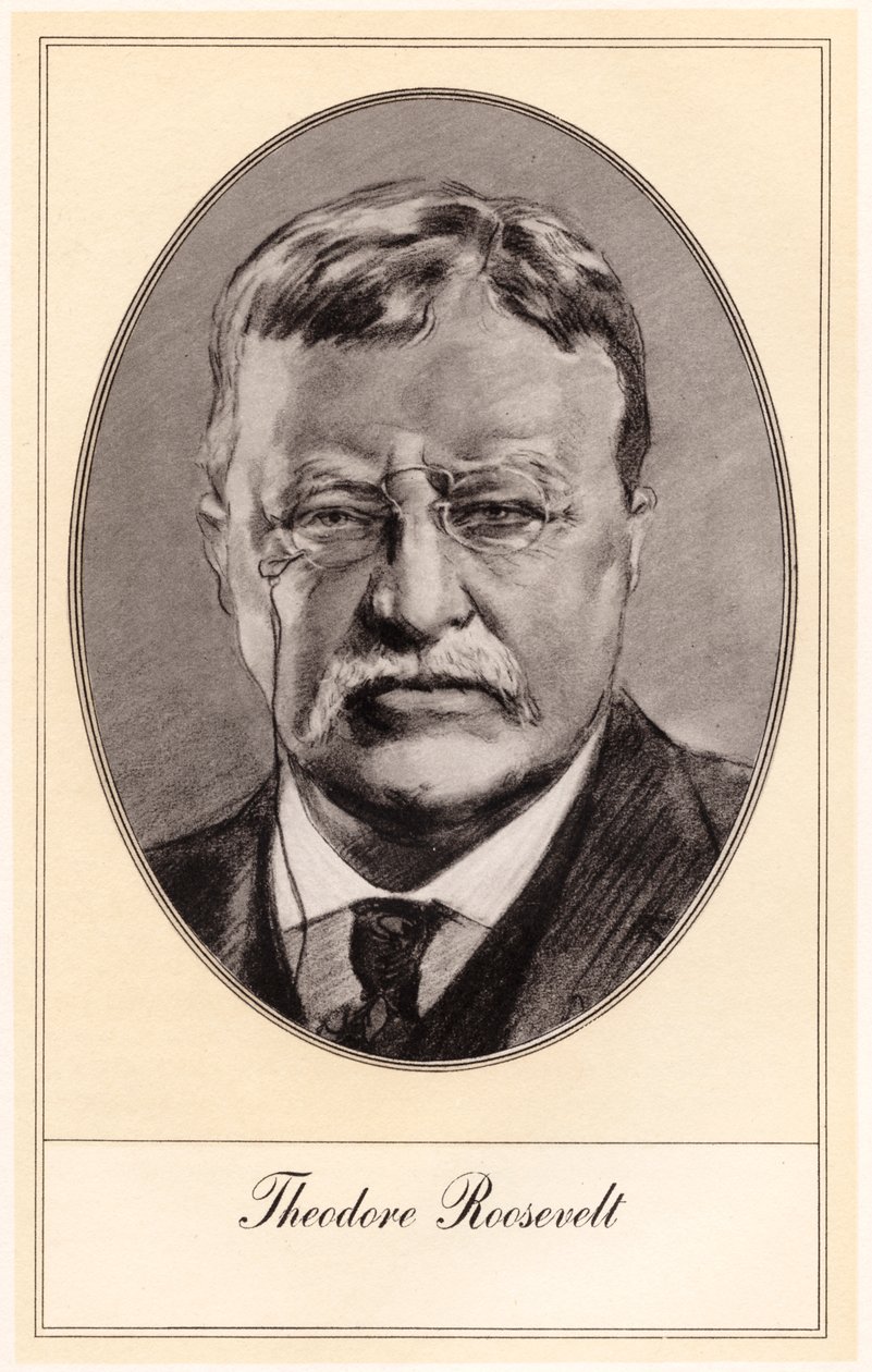 Theodore Roosevelt, 26 prezydent Stanów Zjednoczonych, początek XX wieku. autorstwa Gordon Ross