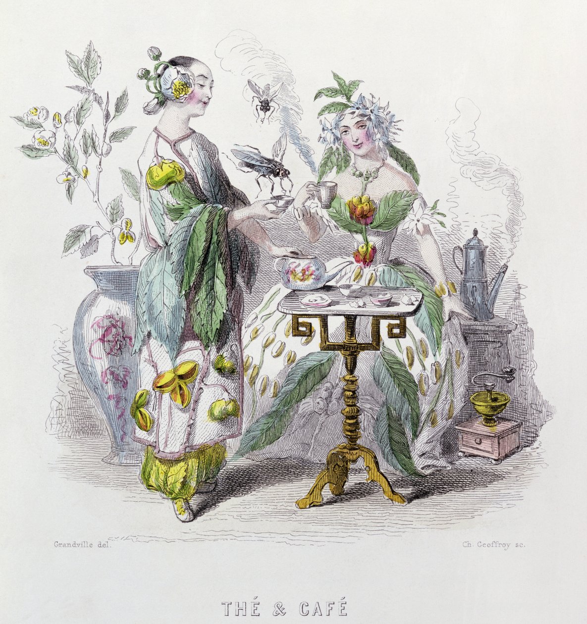 Herbata i kawa, z „Les Fleurs Animees”, grawerowane przez Charlesa Geoffreya (1819-82) 1847 autorstwa Grandville