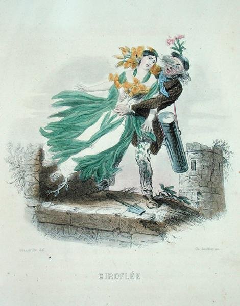 Zielarz kradnący Wallflower, z „Les Fleurs Animees”, grawerowany przez Charlesa Geoffroya (1819-82) autorstwa Grandville