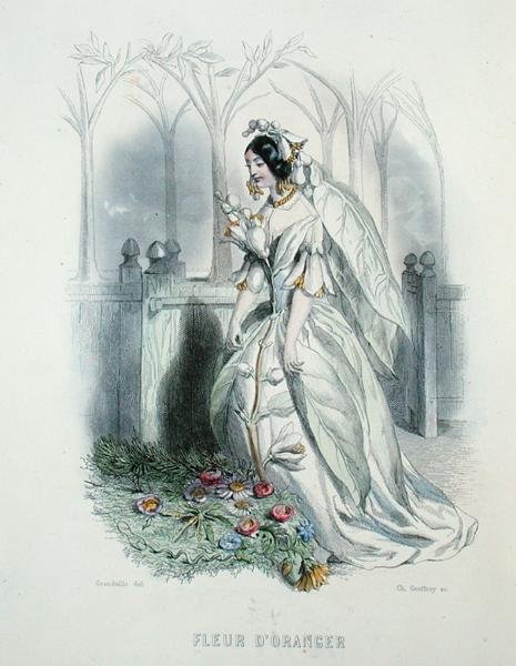 Kwiat pomarańczy, z „Les Fleurs Animees”, grawerowane przez Charlesa Geoffroya (1819-82) autorstwa Grandville