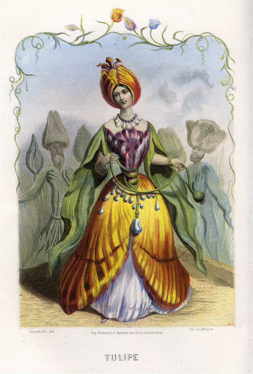 Ilustracja dla "Les Fleurs Animees autorstwa Grandville (1803 47)