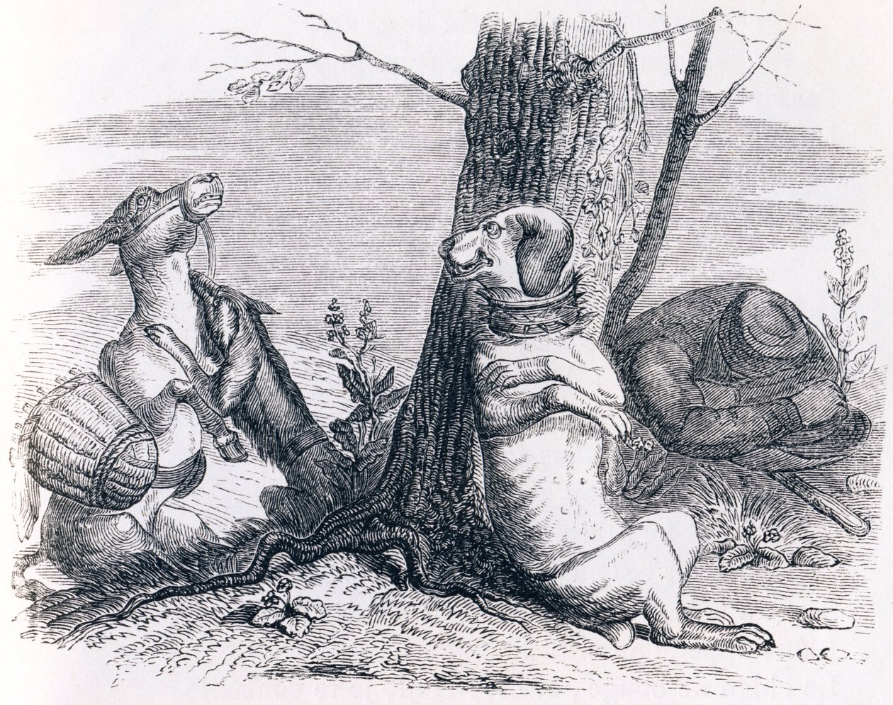 Osioł i pies - Bajki La Fontaine autorstwa Grandville