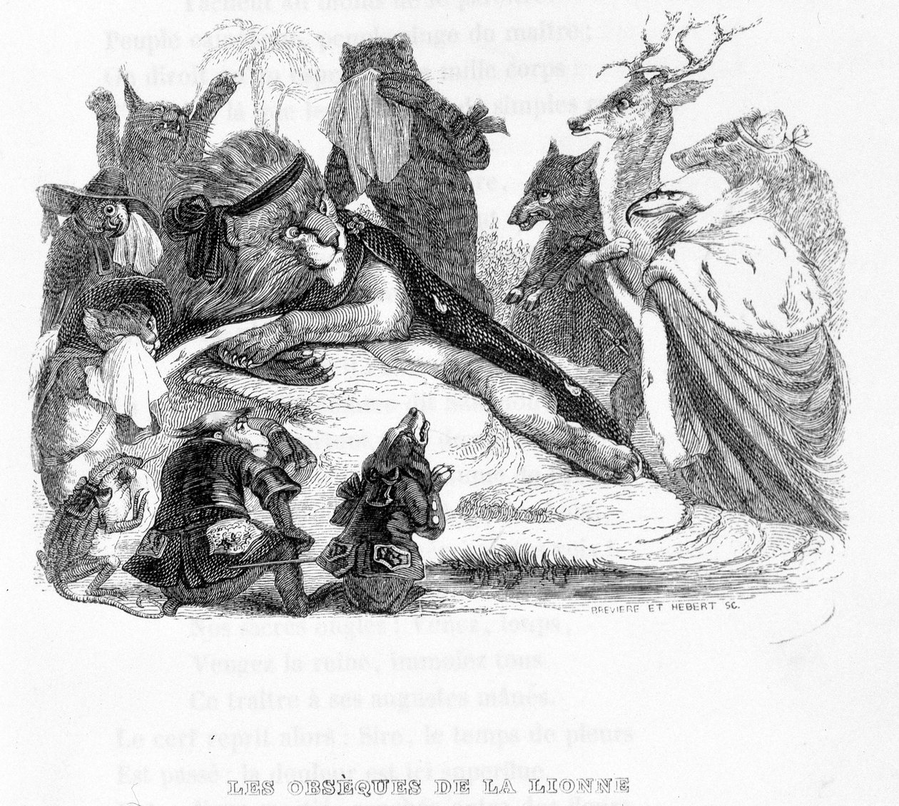 Pogrzeb lwicy - w „”Fables de La Fontaine”” il. wysłana przez Grandville autorstwa Grandville