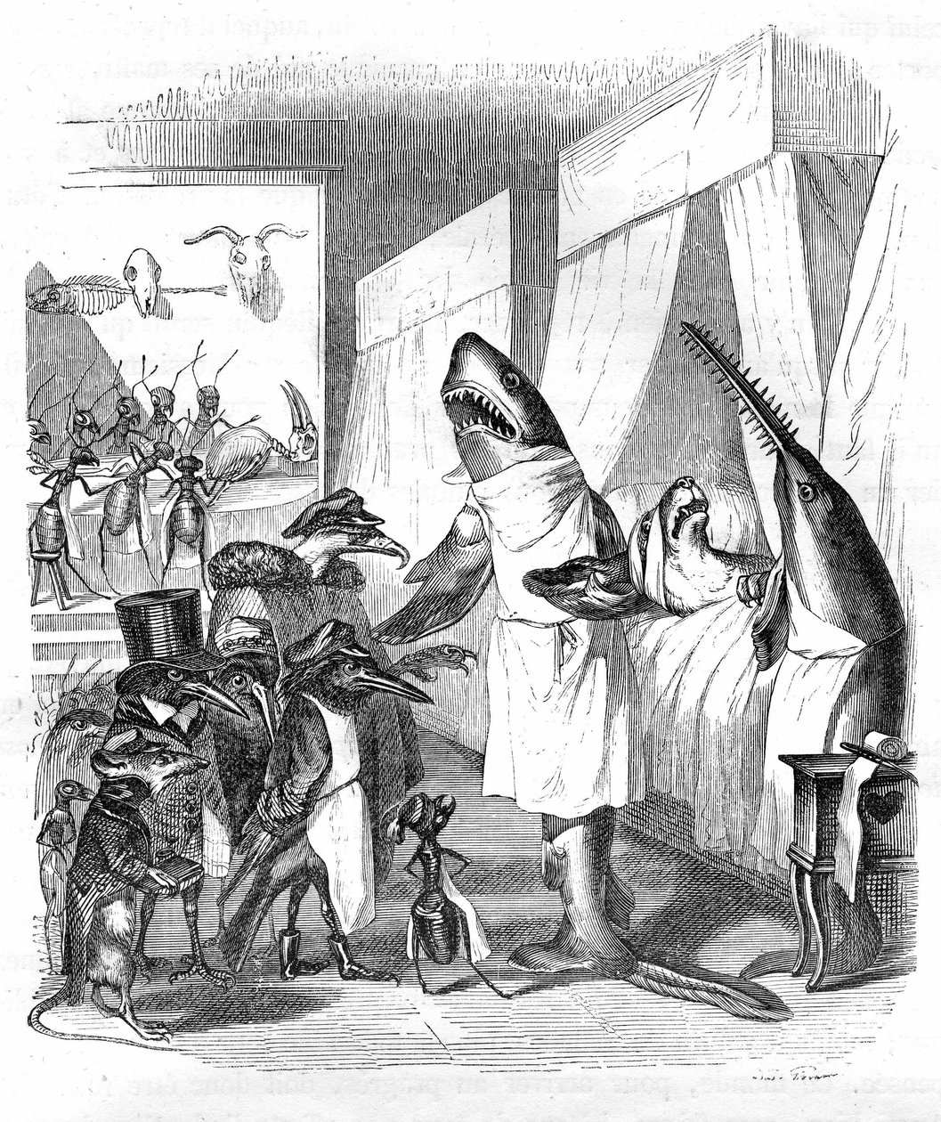 Kreskówka: Ryby - lekarze: Rycina Grandville, z książki "Prywatne i publiczne życie zwierząt (Les animaux ints par eux memes)", wydanie Hetzel 1867 s. 551 - Rekin i ryba piła (Fish saw) przy łóżku chorego w łóżku. autorstwa Grandville (1803 47)