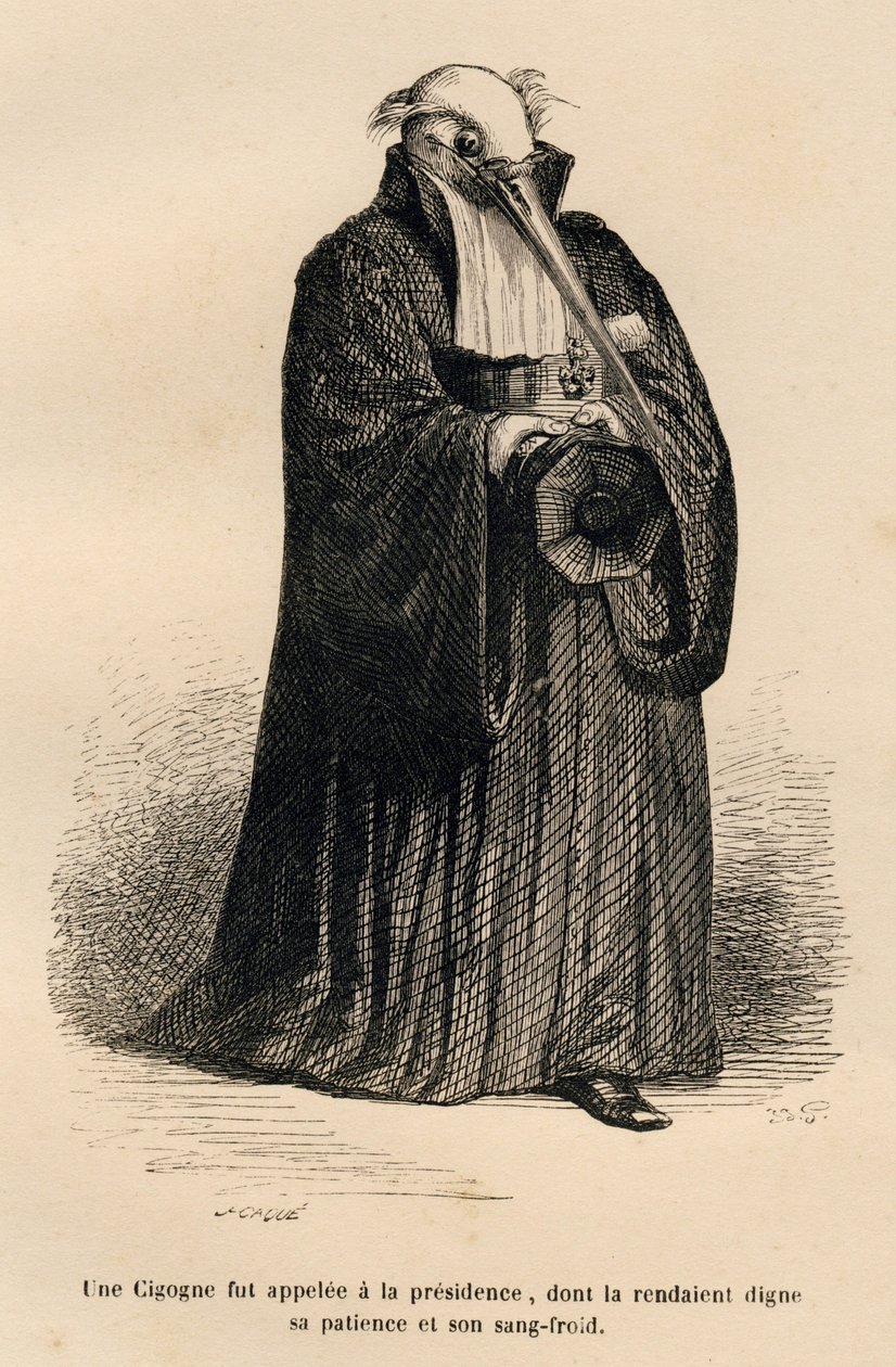 Bocian w sędzi. Miniatury ilustrowane przez JJ Granville. Grawerem sygnowany Caque w części zatytułowanej „Criminal Court of Animal Justice” napisanej przez Emile de La Bedolliere w „Sceny z życia prywatnego i publicznego zwierząt”. Paryż, J. Hetzel i Paul autorstwa Grandville