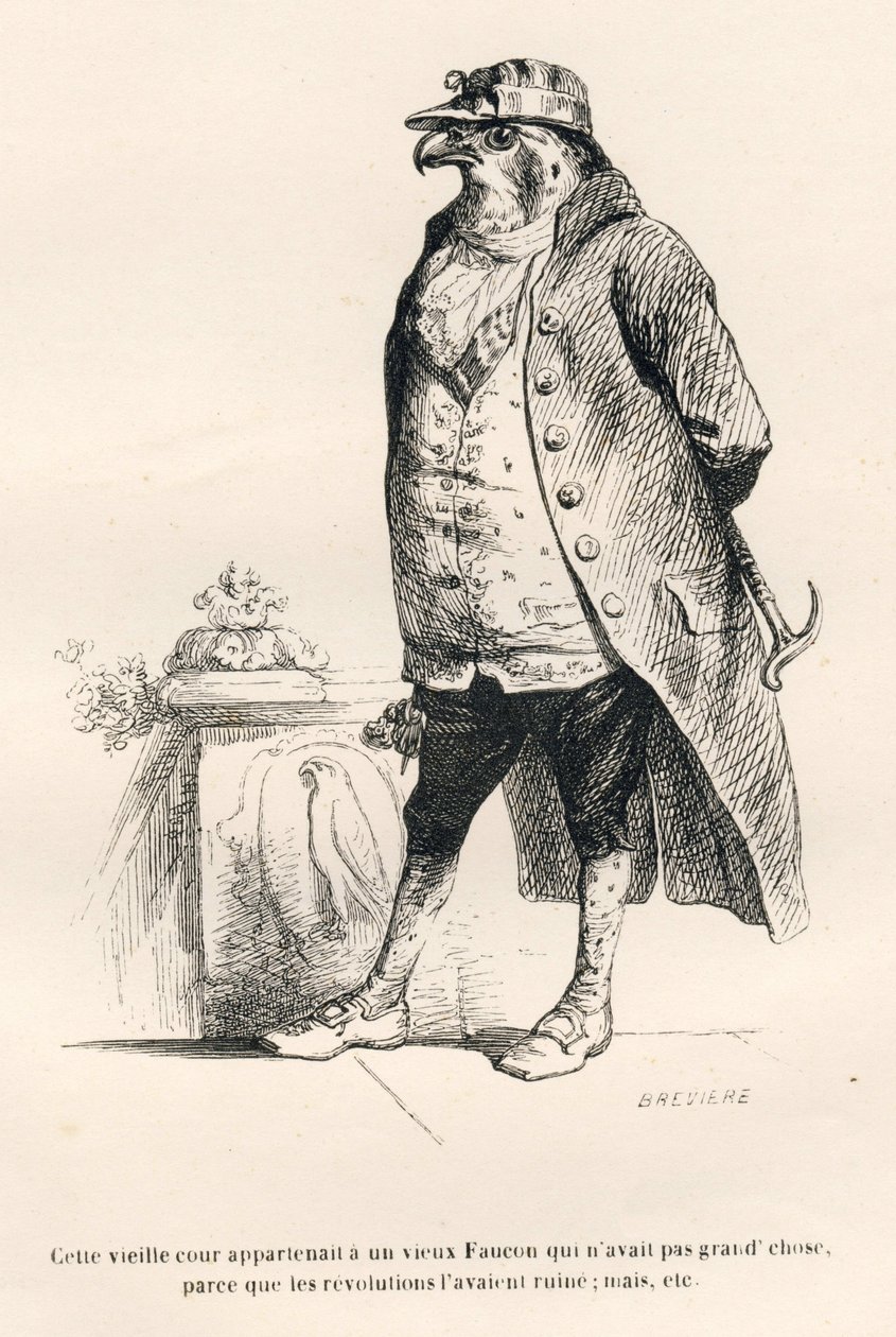 Faucon zrujnowany przez rewolucje. Miniatury ilustrowane przez JJ Granville. Grawer sygnowany Breviere w części zatytułowanej „Wspomnienia starej wrony” napisany przez PJ Stahla w „Sceny z życia prywatnego i publicznego zwierząt”. Paryż, J. Hetzel i Pauli autorstwa Grandville