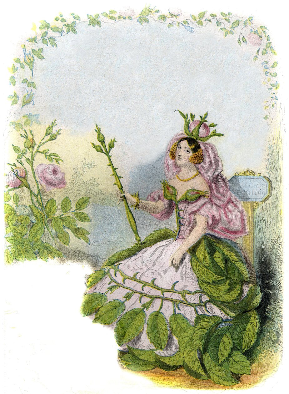 Ilustracja dla "Les Fleurs Animees autorstwa Grandville (1803 47)
