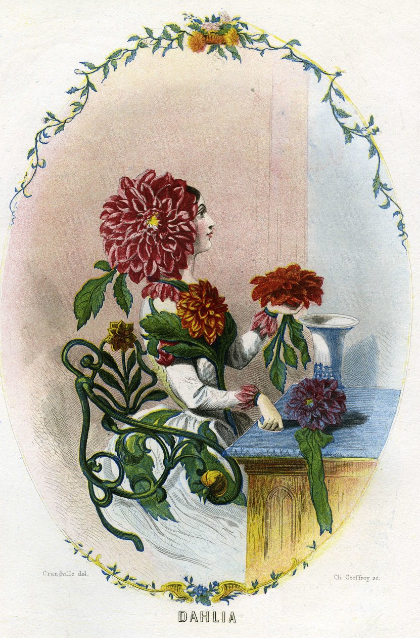 Ilustracja dla "Les Fleurs Animees autorstwa Grandville (1803-47)