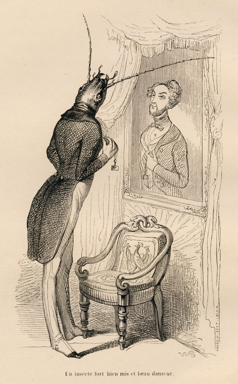Owad patrzący na swoje ludzkie odbicie w lustrze). Winiety ilustrowane przez JJ Granville. Grawer sygnowany Andrzej, Best i Leloir w części zatytułowanej „Przygody motyla” napisanej przez PJ Stahla w „Sceny z życia prywatnego i publicznego zwierząt autorstwa Grandville