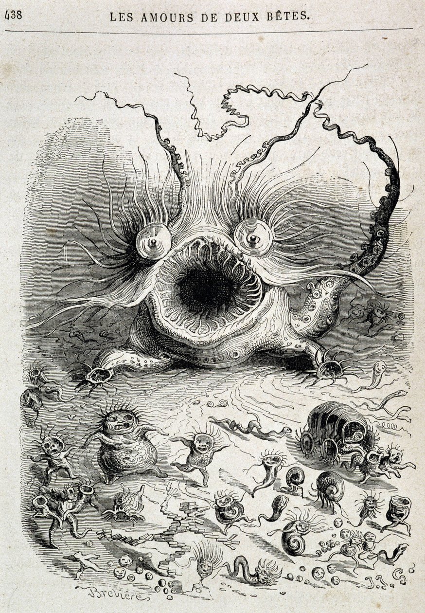 Les amours de deux beêtes (dziwaczny potwór) - w „Zwierzęta namalowane przez siebie: życie prywatne i publiczne zwierząt” Grandville