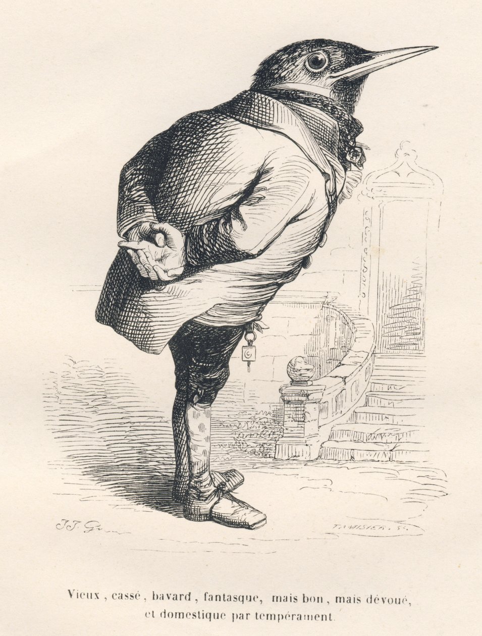 Merle „stary, złamany, rozmowny, kapryśny, ale dobry, ale oddany i domowy z temperamentu”. Winiety ilustrowane przez JJ Granville. Grawer sygnowany Tamisier w dziale „Wspomnienia starej wrony” napisany przez PJ Stahla w „Sceny z życia autorstwa Grandville