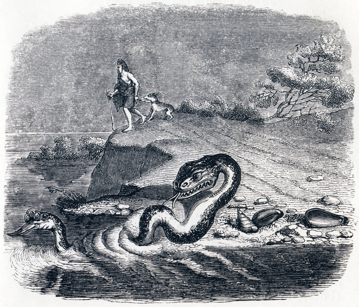 Przód i ogon węża (La tete et la queue du serpent) - Baśnie La Fontaine