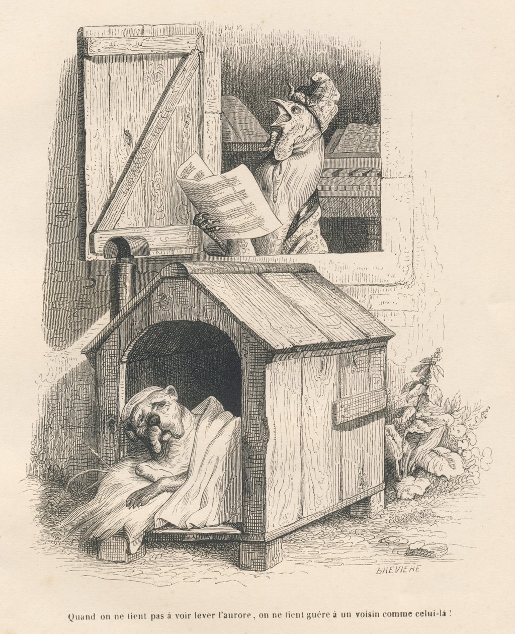 Leniwy pies w swojej budce obudzony przez pianie koguta o świcie. Miniatury ilustrowane przez JJ Granville. Rycina sygnowana Breviere w części „Historia zająca” napisana przez PJ Stahla w „Sceny z życia prywatnego i publicznego zwierząt”. Paryż autorstwa Grandville