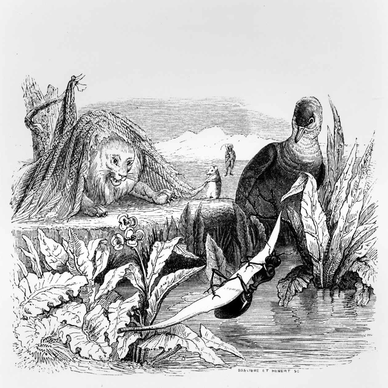 Gołąb i mrówka, lew i szczur, ilustracja do "Baśni" La Fontaine