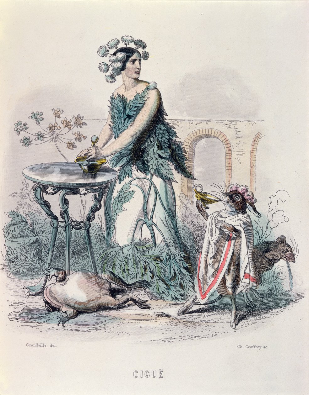 Świerk, z "Les Fleurs Animees", wyryty przez Charlesa Goeffroy (1819-82), 1847 (rycina kolorowa) autorstwa Grandville
