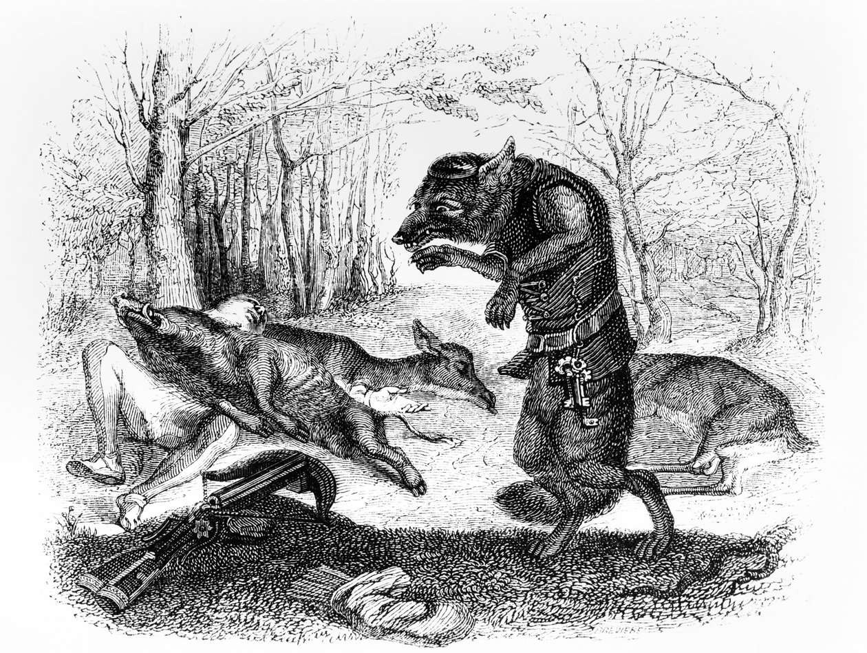 Wilk i myśliwy, ilustracja do "Baśni" La Fontaine