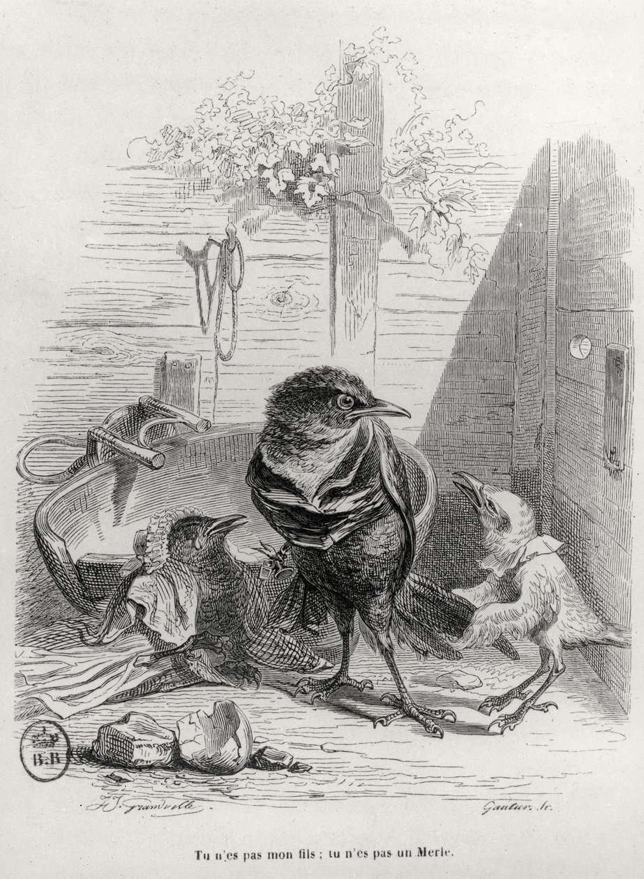 Ilustracja do LHistoire dun merle blanc, grawerowana przez Gautier autorstwa Grandville 1803 47 after Grandville 1803 47 after